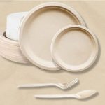 Bio-degradable Plates, Cutlery & Serviette (50 Sets/Unit)